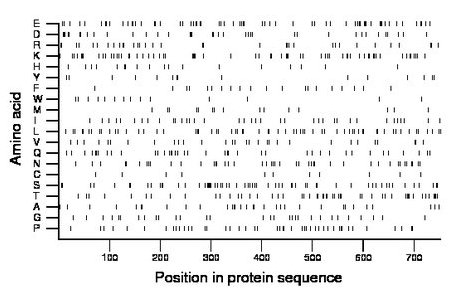 amino acid map