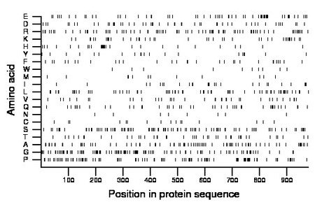 amino acid map