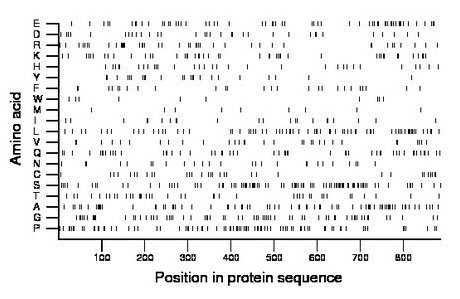 amino acid map