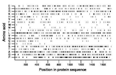 amino acid map