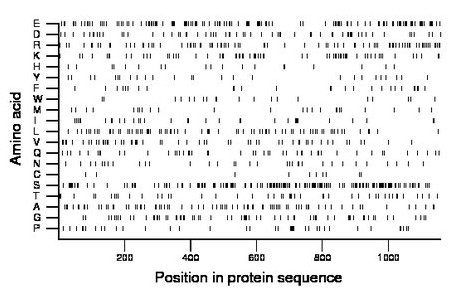 amino acid map