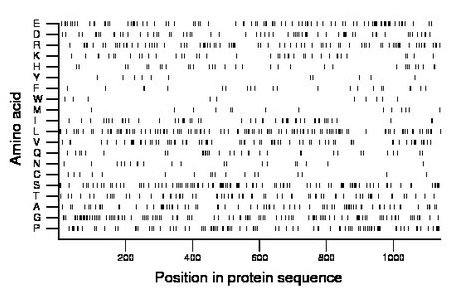 amino acid map