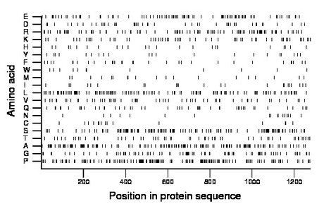 amino acid map