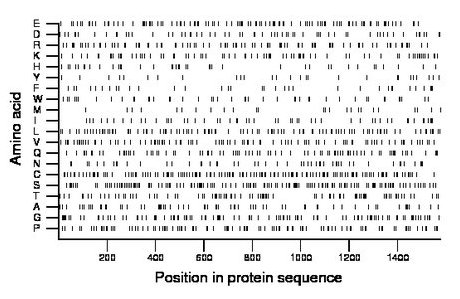 amino acid map