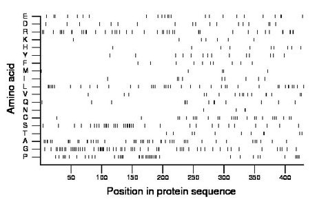 amino acid map