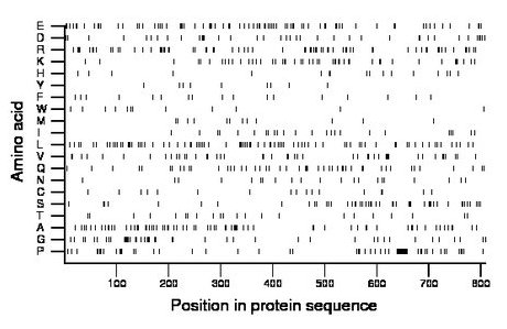 amino acid map