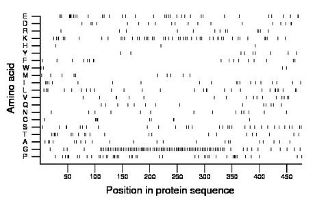 amino acid map