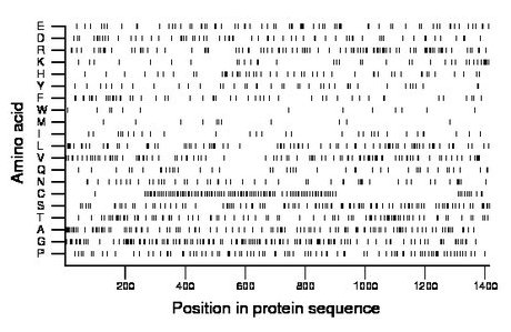 amino acid map