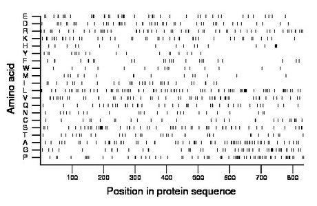 amino acid map