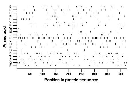 amino acid map