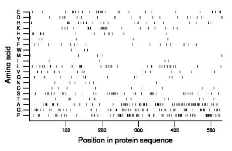 amino acid map