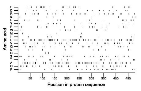 amino acid map