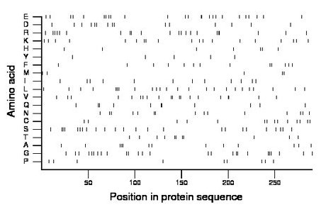 amino acid map