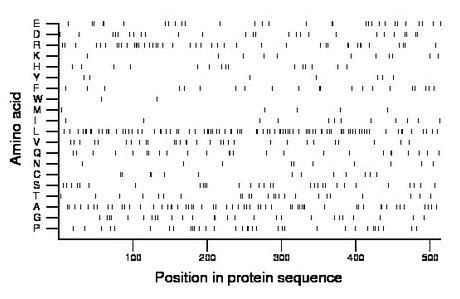 amino acid map