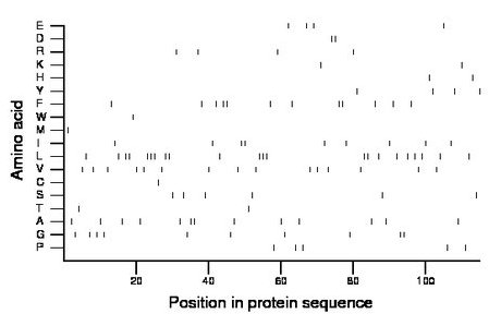 amino acid map