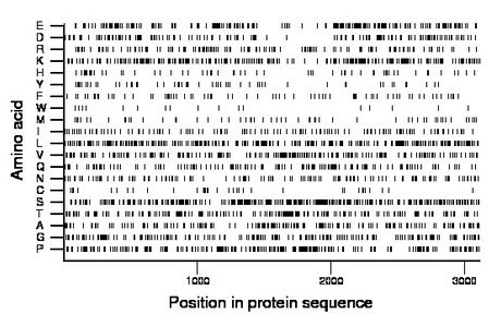 amino acid map