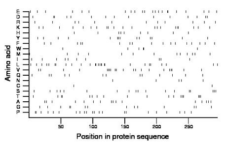 amino acid map