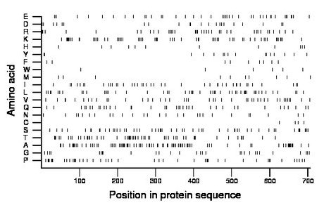 amino acid map