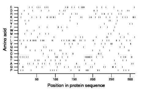 amino acid map