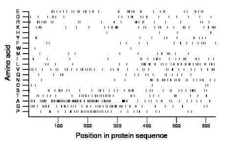 amino acid map