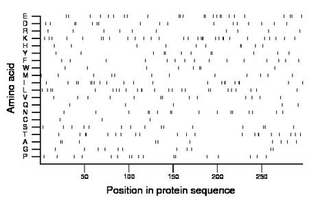 amino acid map