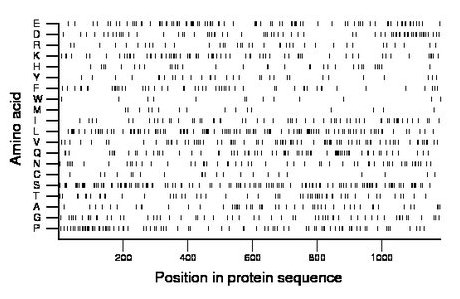 amino acid map