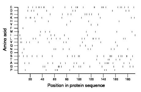 amino acid map