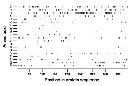 amino acid map