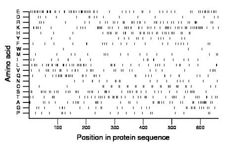 amino acid map