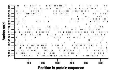 amino acid map