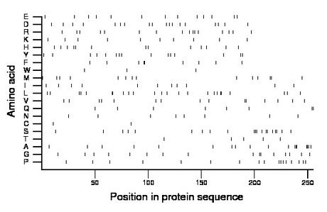 amino acid map