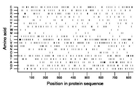 amino acid map