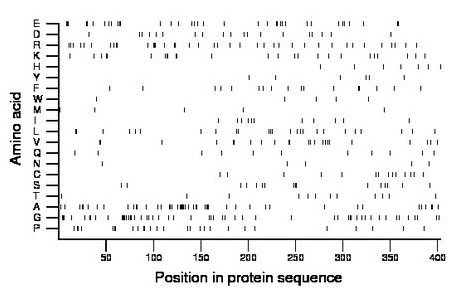 amino acid map