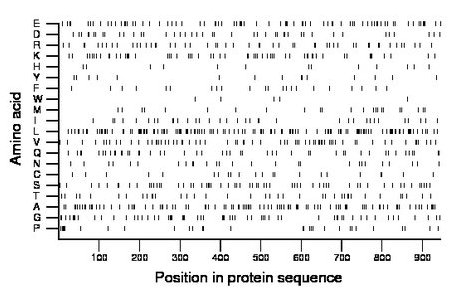 amino acid map