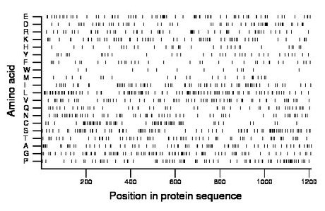 amino acid map