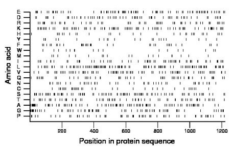 amino acid map