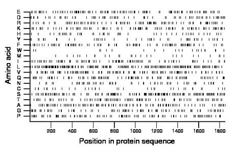 amino acid map