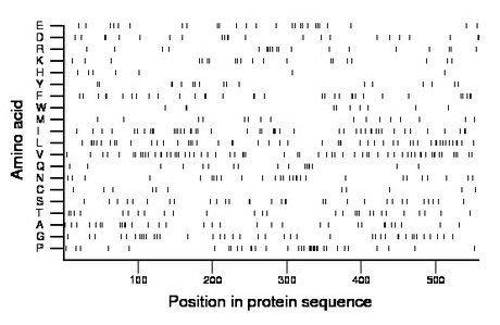 amino acid map