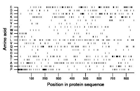 amino acid map