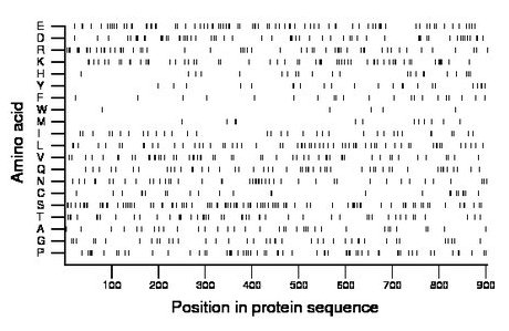 amino acid map