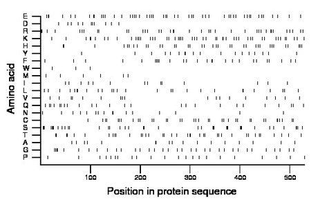 amino acid map