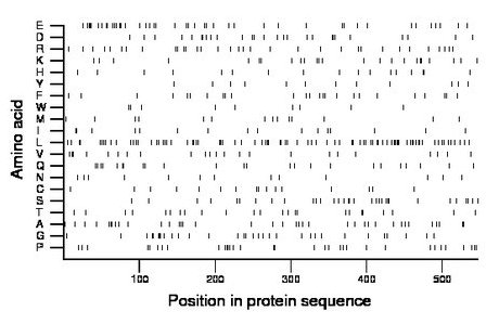 amino acid map