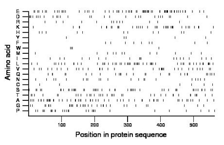 amino acid map