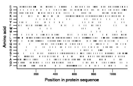 amino acid map