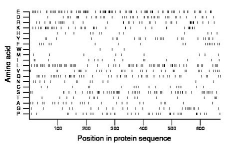 amino acid map