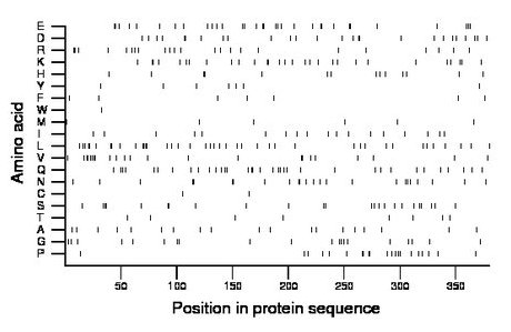 amino acid map