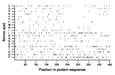 amino acid map