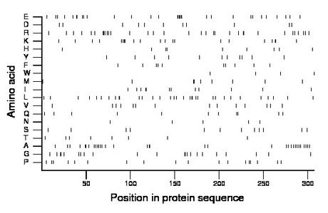 amino acid map