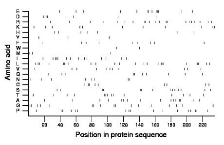 amino acid map