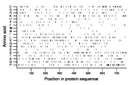 amino acid map